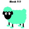 sheep