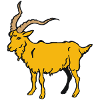 Billy-goat