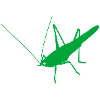 Grashüpfer
