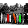 "Surf Boards"