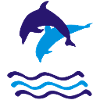 Delfine, Delfin
