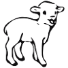 Lamm