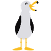 Seagull / Seagull (3c)