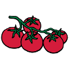tomaten / tomato