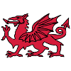 Welsh Dragon