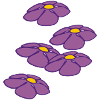 blumen