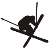 ski