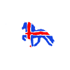 Isländer+Flagge