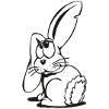 Hase