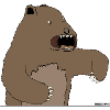 bear!