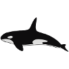 Orca