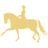 cheval, dressage
