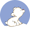 Baby Polar Bear