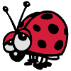 ladybugs