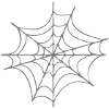 Spinnennetz