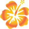 Yellow Hibiscus