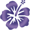 Hibiscus Blue