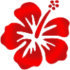 Hibiscus Rot