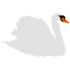 swan