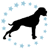 Boxer Sternenkreis 2 farb