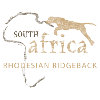 Rhodesian Ridgeback DD