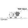 wool sheep