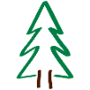 Tree Fir Christmas