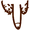 penis