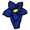 Gentian