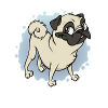 Gustav der Mops