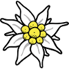 Edelweiss.png