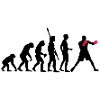 evolution_boxen_b_2c