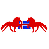 Isländer mit Flagge