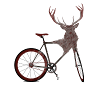 Hirsch-Bike
