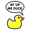 AY UP ME DUCK DESIGN
