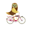 Owl on a Bike