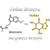 melatonin_vs_coffein_2_mp