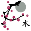 The Cherry blossom