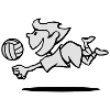 vl043b_volleyballer_2c