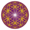 Flower of Life - Light
