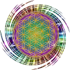 Flower of Life - Spiral
