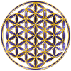 Flower of Life - Universe