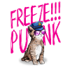 Freeze Punk