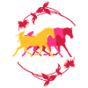 trab_drei_pferde