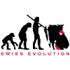 Evolution Bauer Schweiz