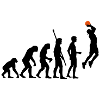 evolution_basketball_b_2c