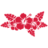 hawaiian flower