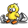 kueken_e