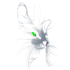The Cat.png