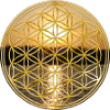 Flower of Life sunset